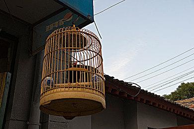 沙特宣布正式开发全球首个《龙珠》主题公园